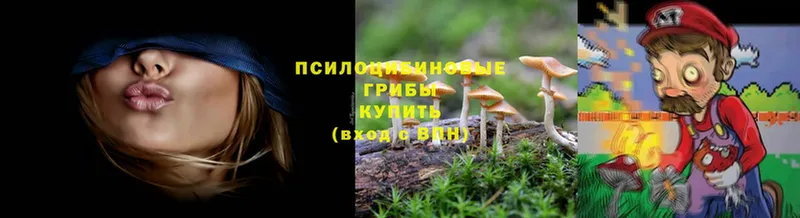 МЕГА   Комсомольск-на-Амуре  Галлюциногенные грибы Cubensis 